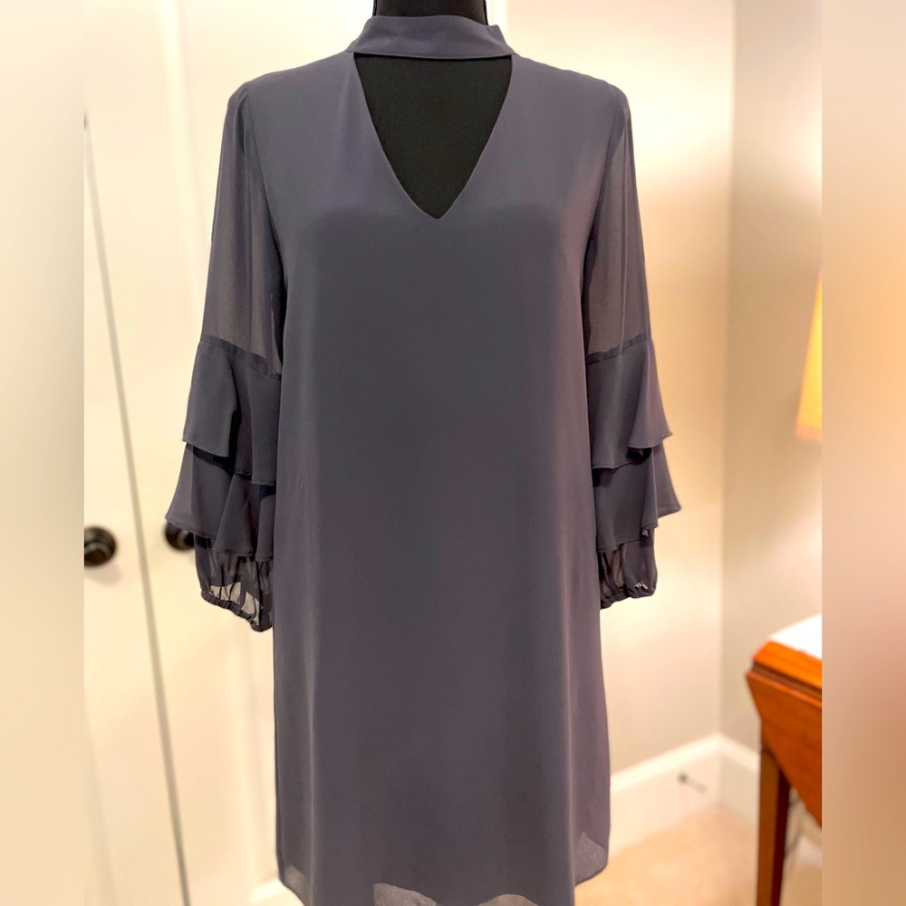 Naked Zebra gray sheath dress.